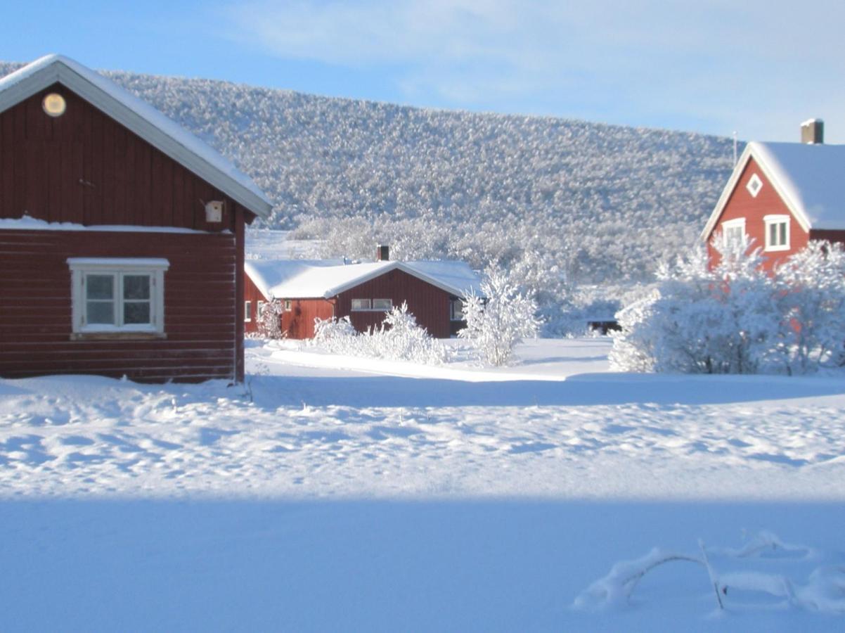 Varanger Kite Camp *
